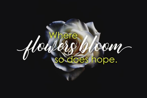 Butterflies Script Font - Preview 3