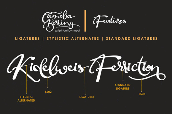 Camelia Berring Script Font - Preview 2