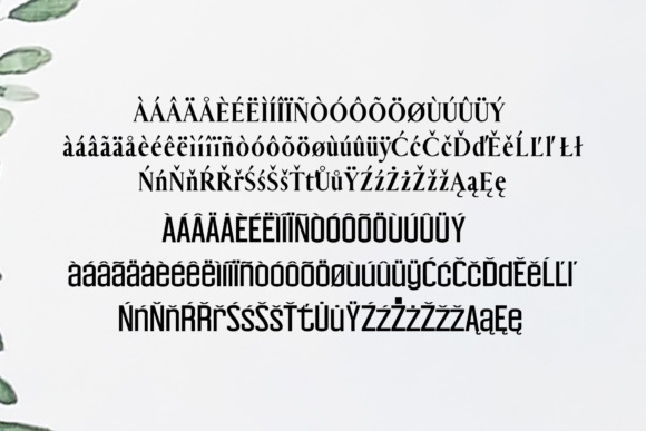 Carolin Duo Font - Preview 4