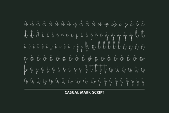 Casual Mark Script Font - Preview 4