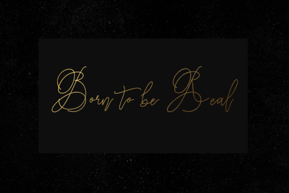 Charlotte Script Font - Preview 1