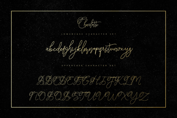 Charlotte Script Font - Preview 4