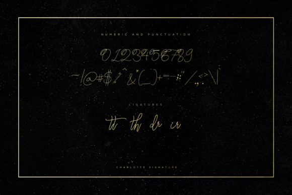 Charlotte Script Font - Preview 5