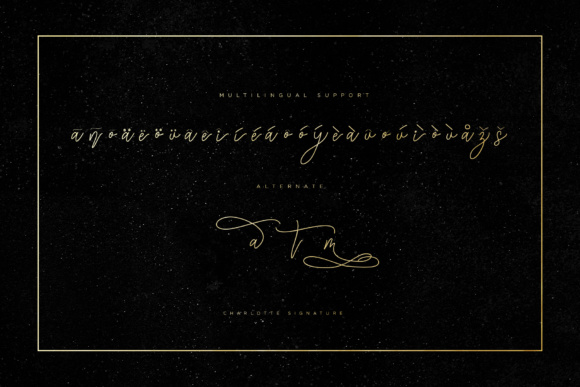Charlotte Script Font - Preview 6