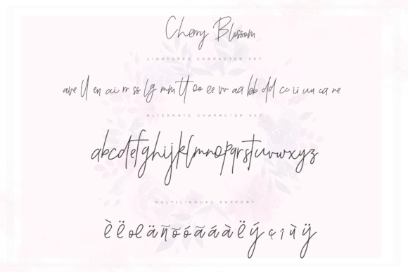 Cherry Blossom Font - Preview 5