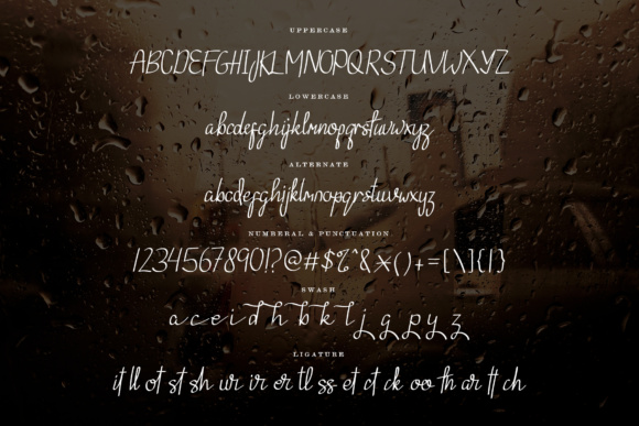 Ebnantti Script Font - Preview 4