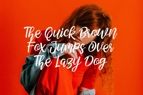 Febiolla Script Font - Preview 6