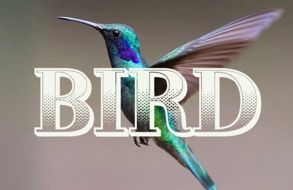 Gradientico Font - Preview 2