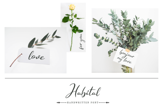 Habital Font - Preview 5