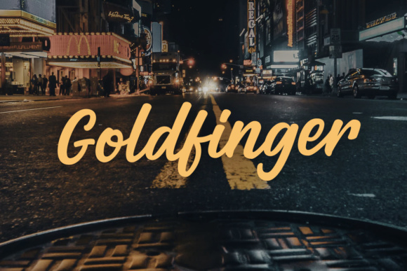 Havania Script Font font preview - 5