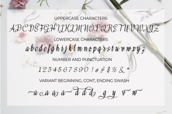 Meikayla Script Font PNG with transparent background - Preview 5