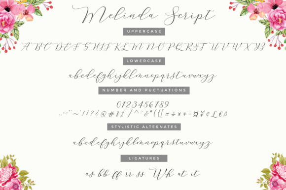 Melinda Script Font PNG with transparent background - Preview 5