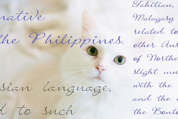 Signarita Louisse Font PNG with transparent background - Preview 2