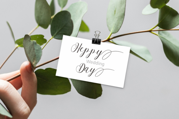Agency Script Font - Preview 3