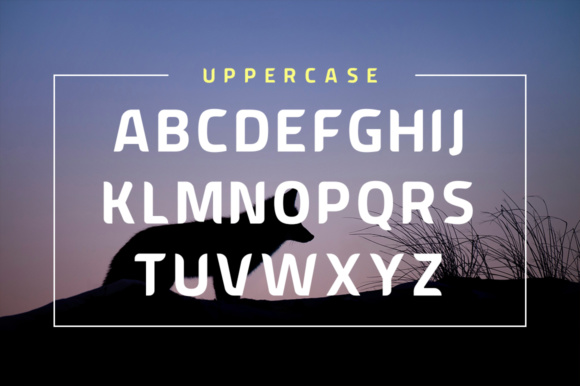 American Fox Font - Preview 2