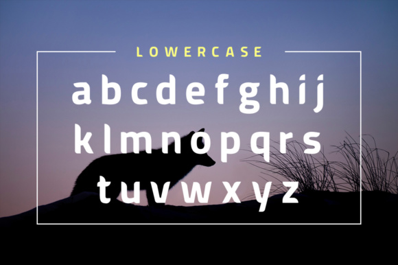American Fox Font - Preview 3