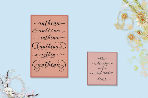 Anthena Script Font - Preview 4