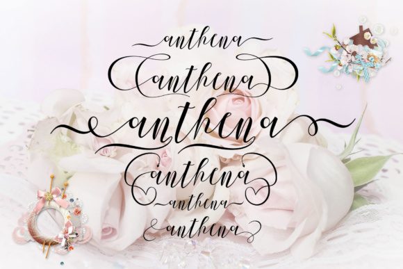 Anthena Script Font - Preview 5