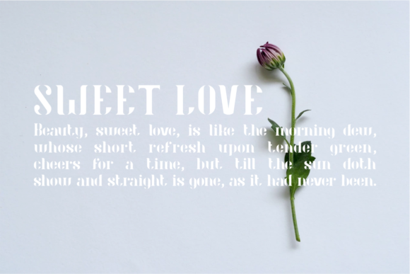 Audrey Font - Preview 4