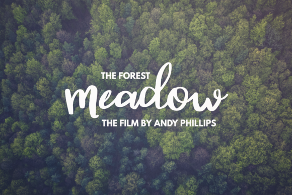 Autumn Script Font - Preview 2