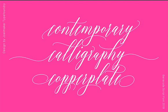 Barracuda Script Font - Preview 2