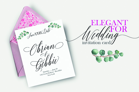 Barracuda Script Font - Preview 5