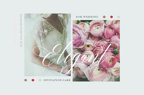 Barracuda Script Font - Preview 6
