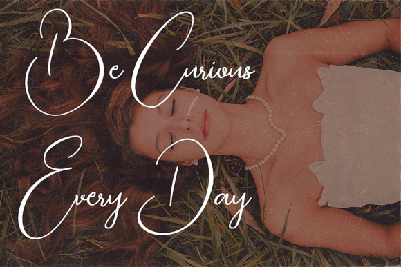 Bettina Script Font - Preview 2
