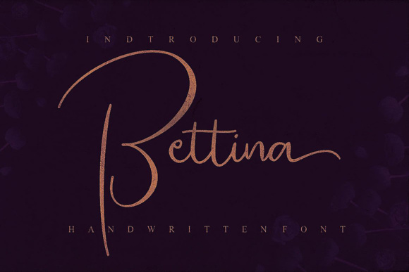 Bettina Script Font - Preview 4