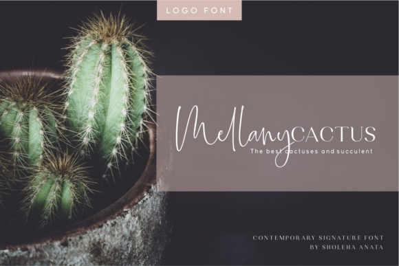 Bollivia Rosilla Font - Preview 6