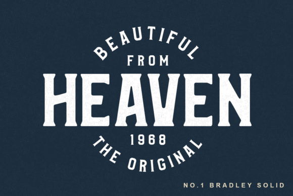 Bradley Family Font - Preview 1