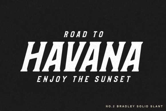 Bradley Family Font - Preview 2