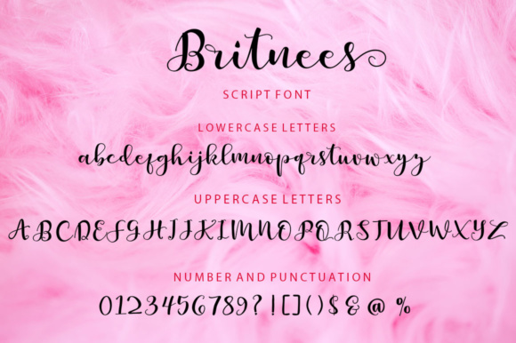 Britnees Script Font - Preview 5