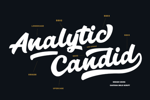 Cantana Script Font - Preview 1