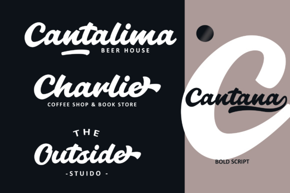 Cantana Script Font - Preview 2
