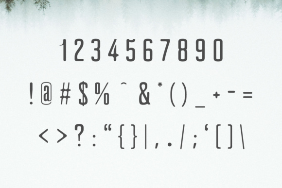 Clarra Family Font - Preview 2