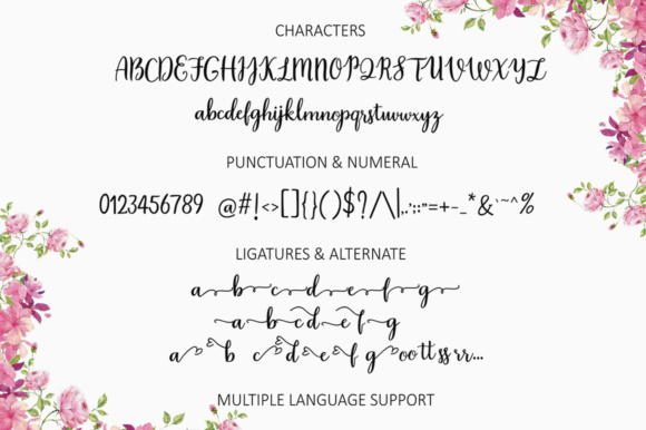 Daylily Script Font - Preview 1