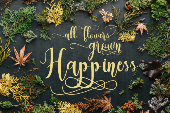 Dealove Script Font - Preview 5