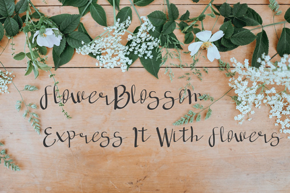 Deep Forest Font - Preview 2