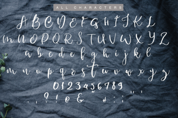 Donnio Font - Preview 2
