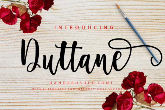 The Bargain Script Bundle V13 Bundle · Creative Fabrica