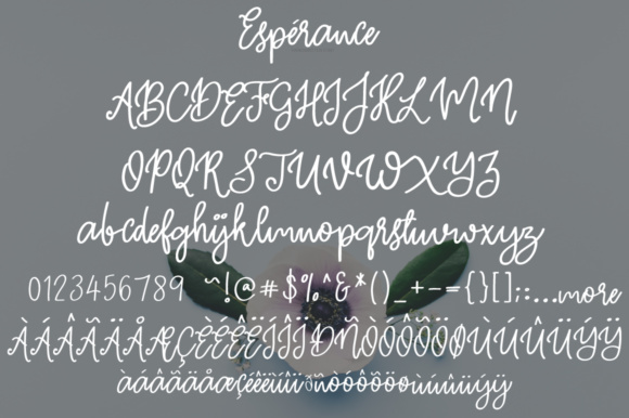 Esperance Font - Preview 5