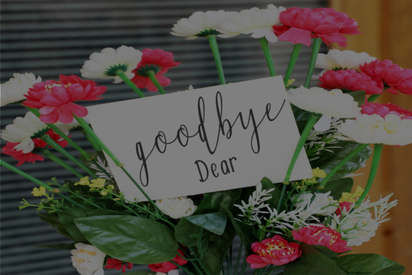 Falisha Font - Preview 2