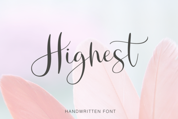 The Bargain Script Bundle V12 Bundle · Creative Fabrica