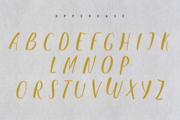 Malicute Script Font PNG with transparent background - Preview 1