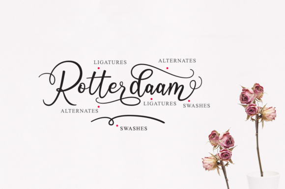 Octhovia Duo Font PNG with transparent background - Preview 6