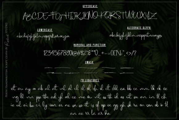 Perth Script Font PNG with transparent background - Preview 1