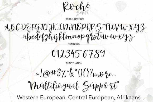 Roche Script Font PNG with transparent background - Preview 5