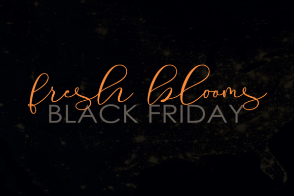 Roommates Script Font PNG with transparent background - Preview 3