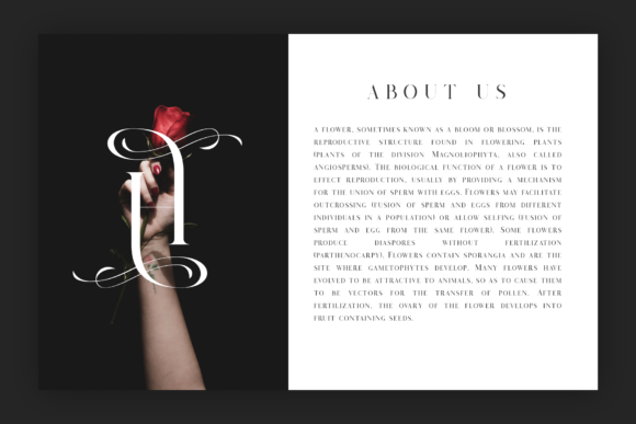 Salvalyn Font PNG with transparent background - Preview 1